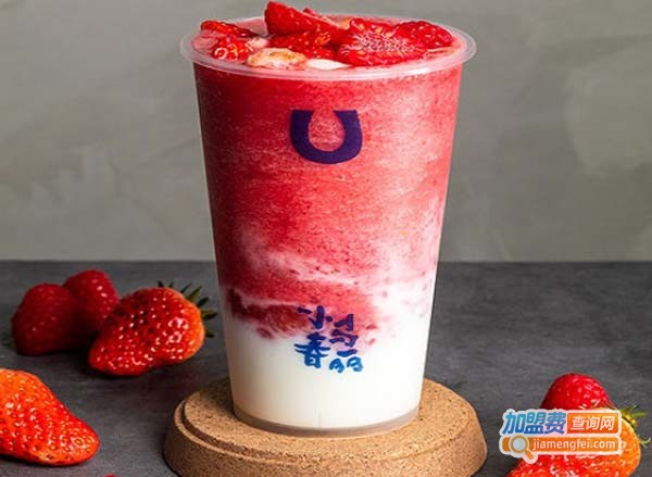 小马春丽加盟费