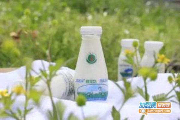 道场坪鲜羊奶加盟费