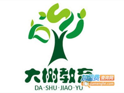 大树教育加盟费