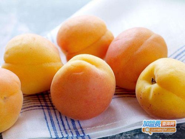 红杏花坛白酒加盟费