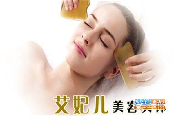 法国艾妃儿加盟费