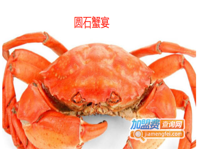 圆石蟹宴加盟费