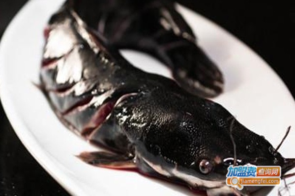 三只耳冷锅鱼火锅店加盟费