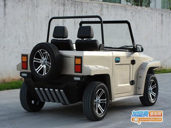 陆地方舟电动车加盟费