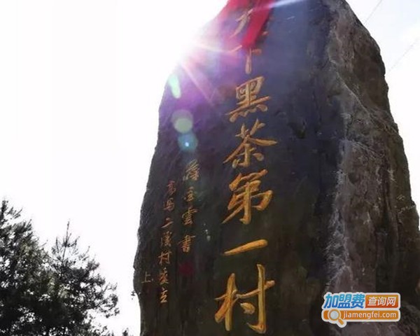 岁越黑茶加盟费