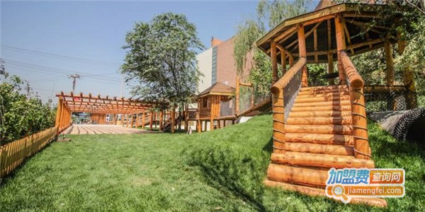 力美教育加盟费