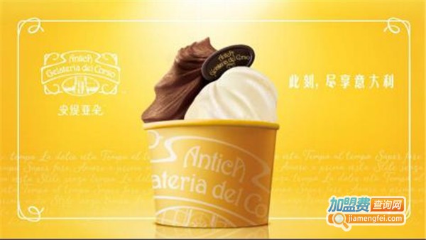 安缇亚朵加盟费