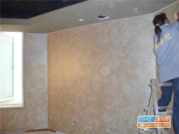 达泥洛艺术涂料加盟门店