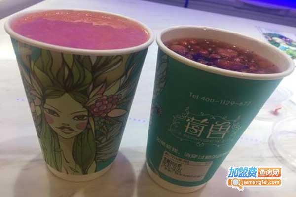 莓兽极寒境莓果现榨加盟