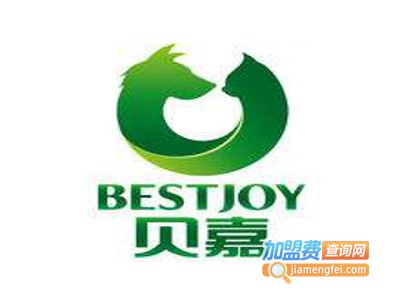 贝嘉教育加盟费