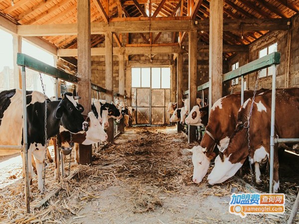 火龙综合养殖加盟门店