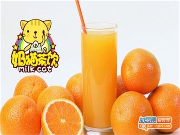 奶猫茶饮加盟费