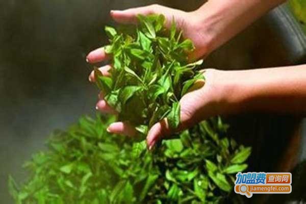 天园茶叶加盟门店