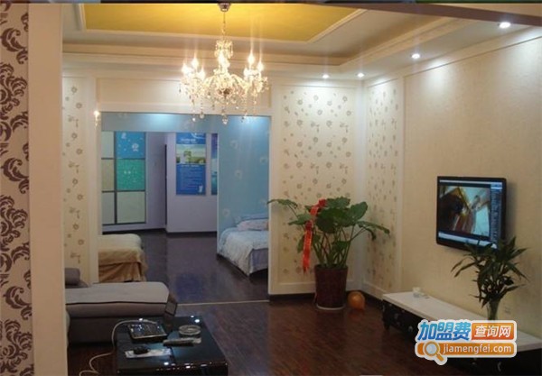 和壁硅藻泥加盟费