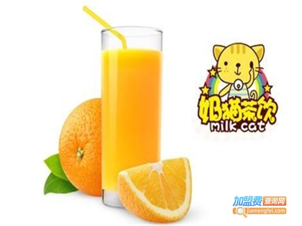 奶猫茶饮加盟费