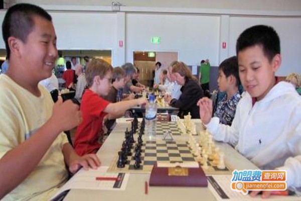 晨鹰国际象棋俱乐部加盟费