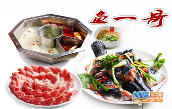 鱼一哥生态火锅加盟费