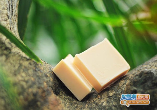 黑胰子手工皂加盟费