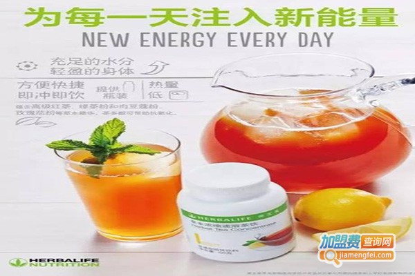 草本集茶饮加盟费