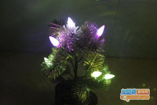 LED花艺灯饰加盟费