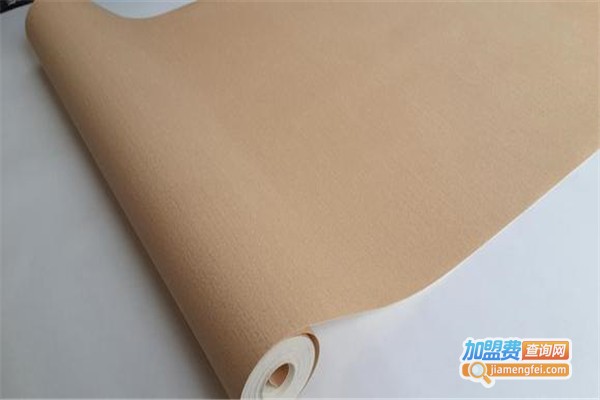 青山纸业加盟费