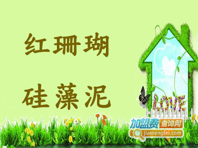 红珊瑚硅藻泥加盟