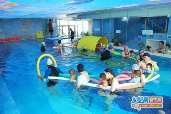 好宝宝游泳馆加盟费