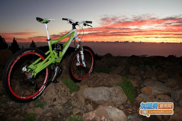 派克奇自行车加盟店