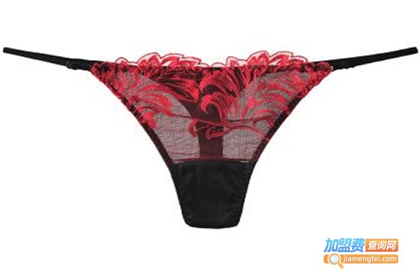 玛莎女人内衣加盟费