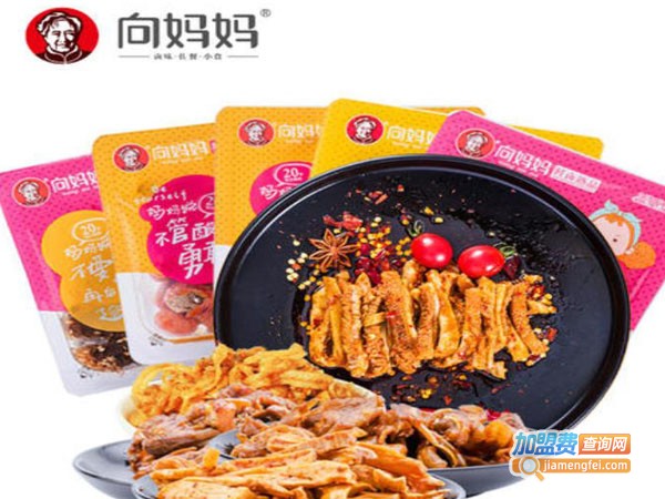 向妈妈食品加盟费