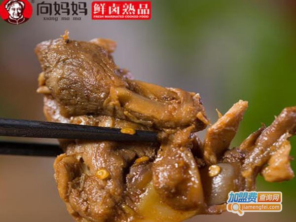 向妈妈食品加盟费