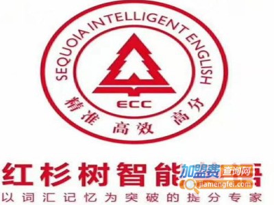 红杉树教育加盟费