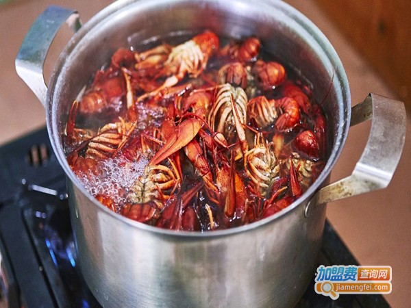 摩登大火锅加盟吗