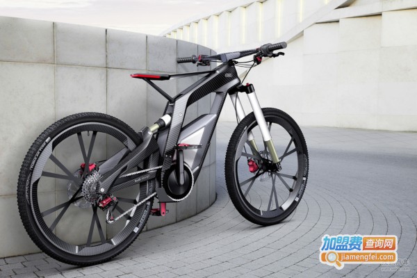 派克奇自行车加盟费