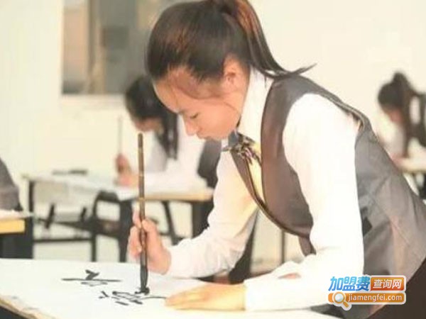 凤乐团教育加盟费