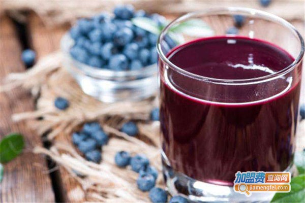 园汁园味饮品加盟门店