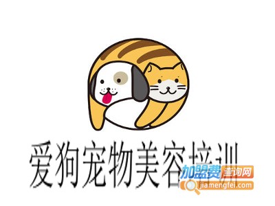 爱狗宠物美容培训
