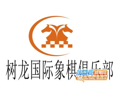 树龙国际象棋俱乐部加盟费