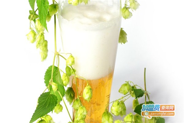 冰花啤酒加盟费