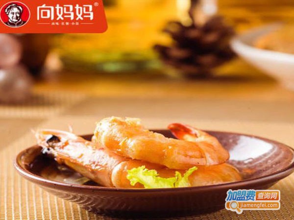 向妈妈食品加盟费