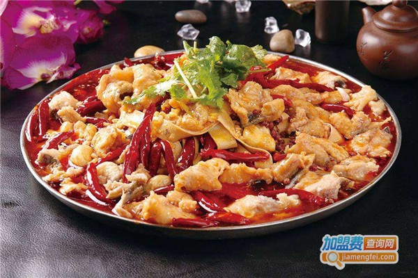 过去进行食加盟费