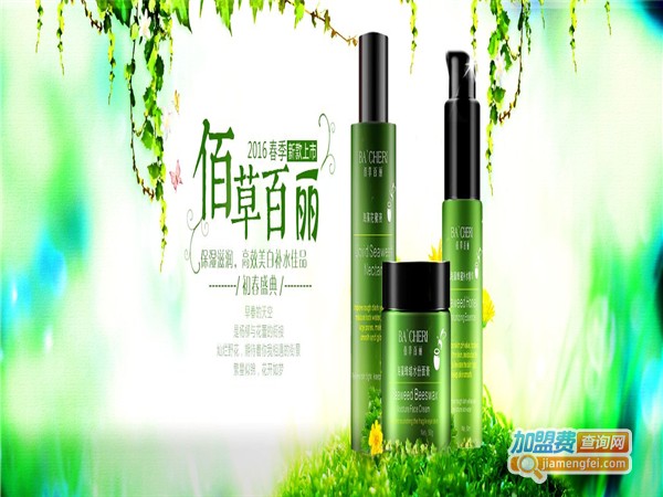 佰草百丽国际美容加盟费