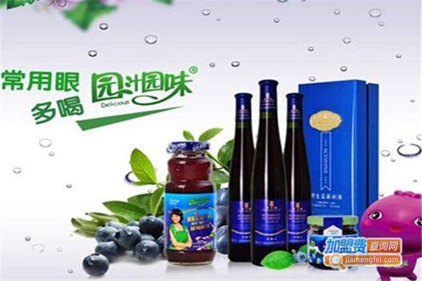 园汁园味饮品加盟门店