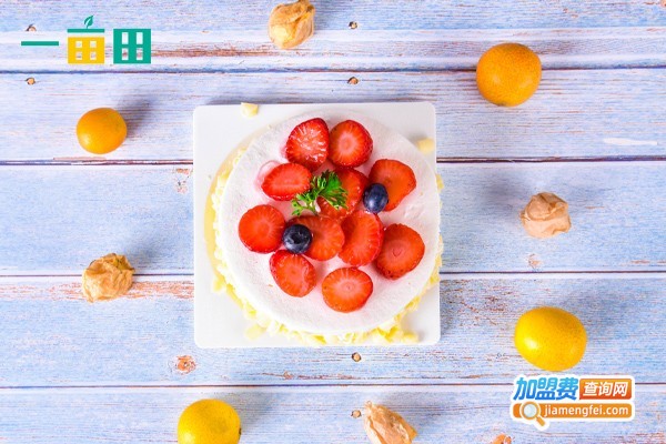 果巢港式甜品加盟费