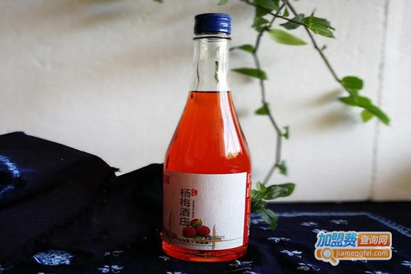 洱宝青梅酒加盟门店