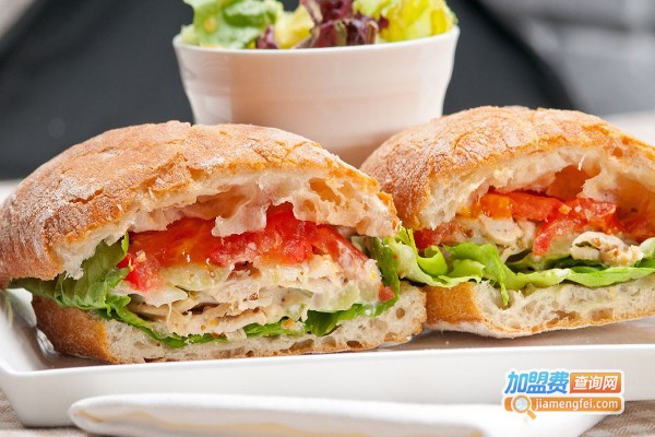 致爱月子中心加盟费