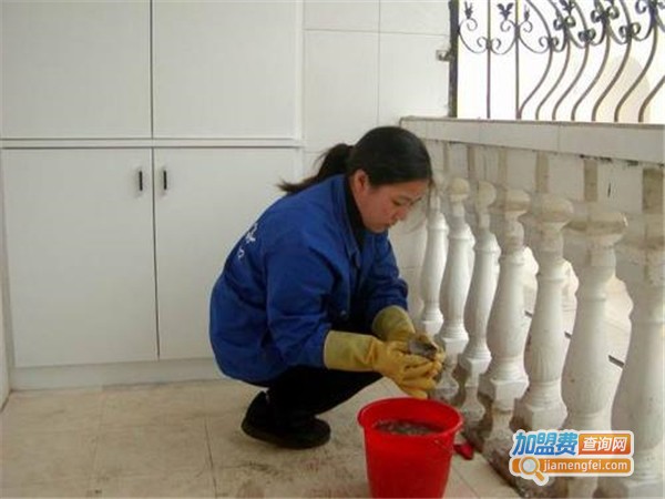 星沙家政服务加盟