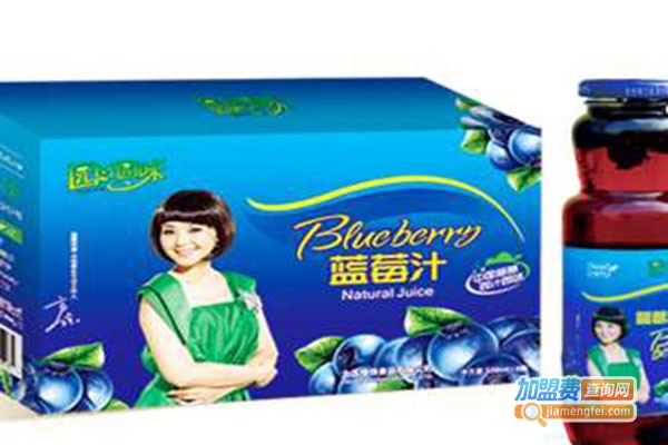 园汁园味饮品加盟门店