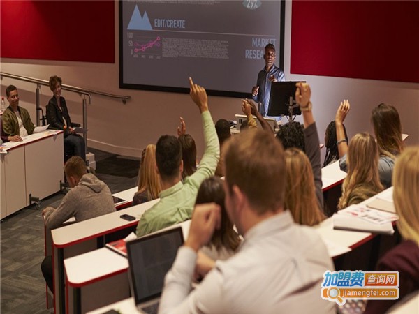 诺美教育加盟费