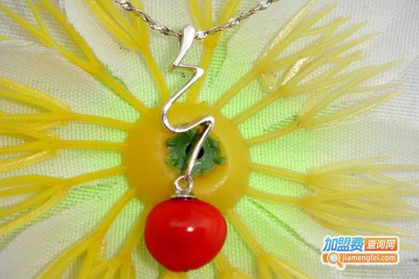 红豆饰品加盟费